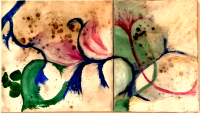 Both Flows and Shows